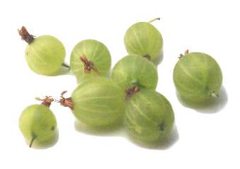 Gooseberries